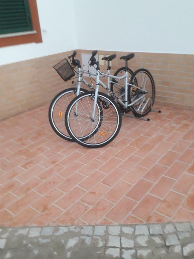טאווירה Alojamento Local Patudos, Suite Com Terraco Privado מראה חיצוני תמונה
