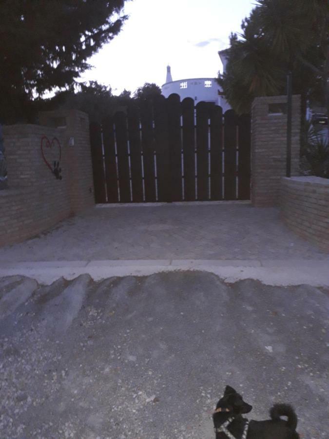 טאווירה Alojamento Local Patudos, Suite Com Terraco Privado מראה חיצוני תמונה
