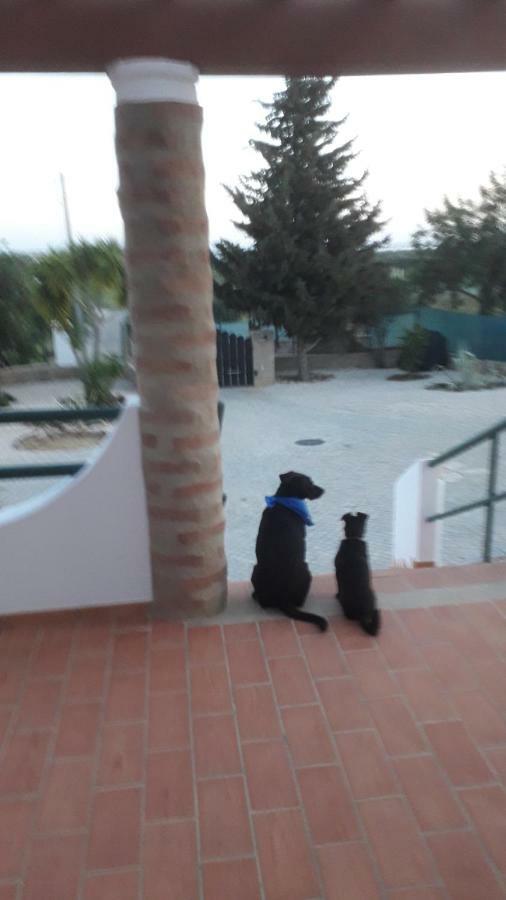 טאווירה Alojamento Local Patudos, Suite Com Terraco Privado מראה חיצוני תמונה